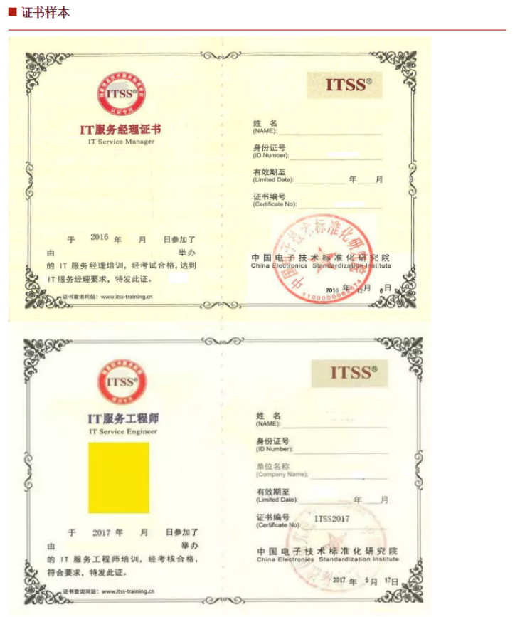 it技能服务_it服务项目经理证书_it服务满意度调查问卷